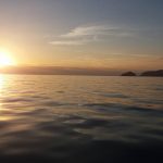 f ischia