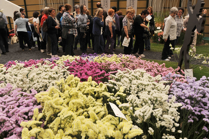 EUROFLORA: AL VIA KERMESSE, ANCHE FIORI IBRIDI E MUTANTI